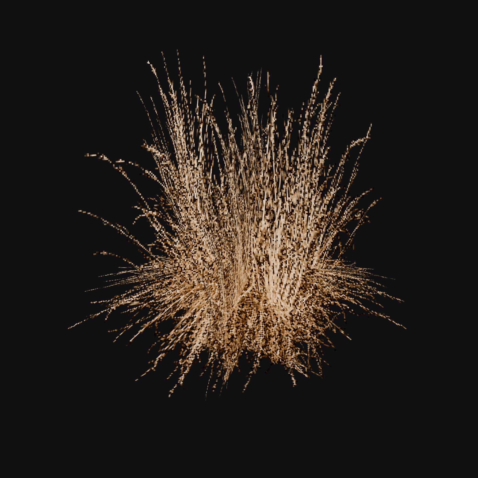 Bunch Grass 01