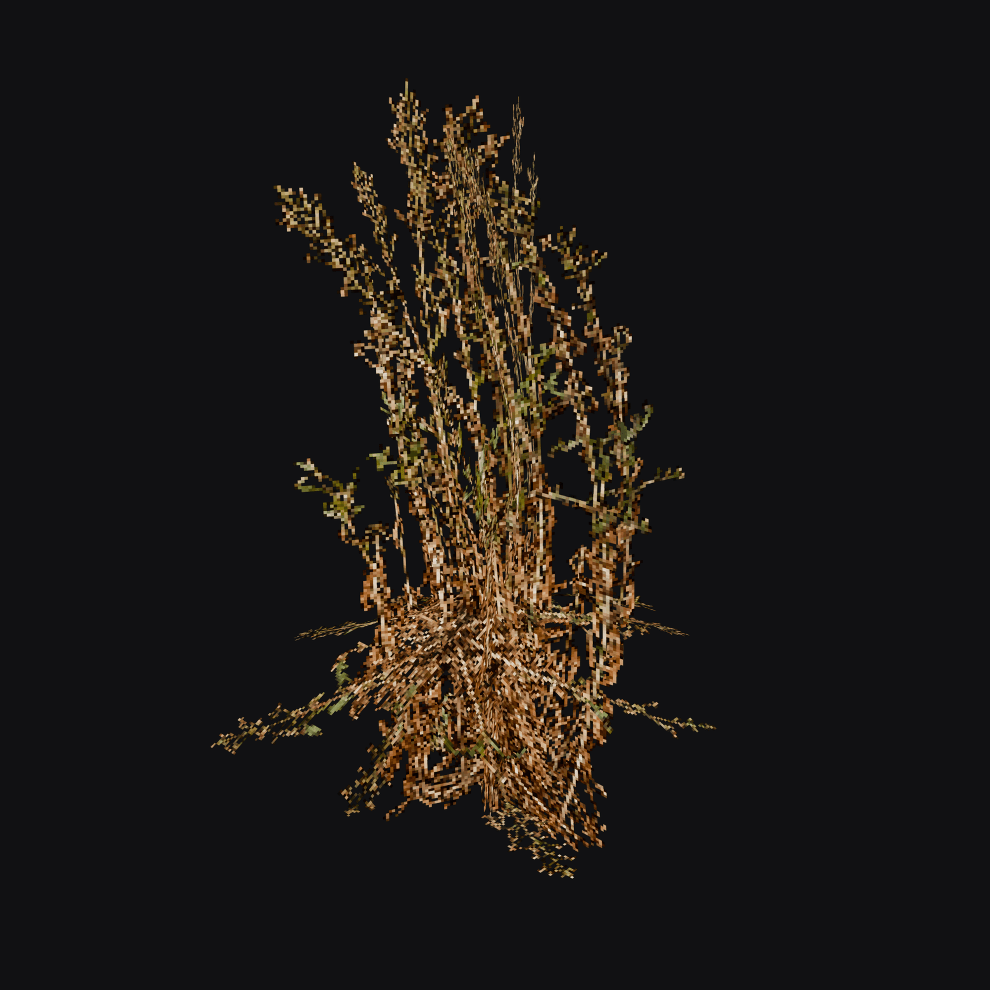 Dock Stalks 01