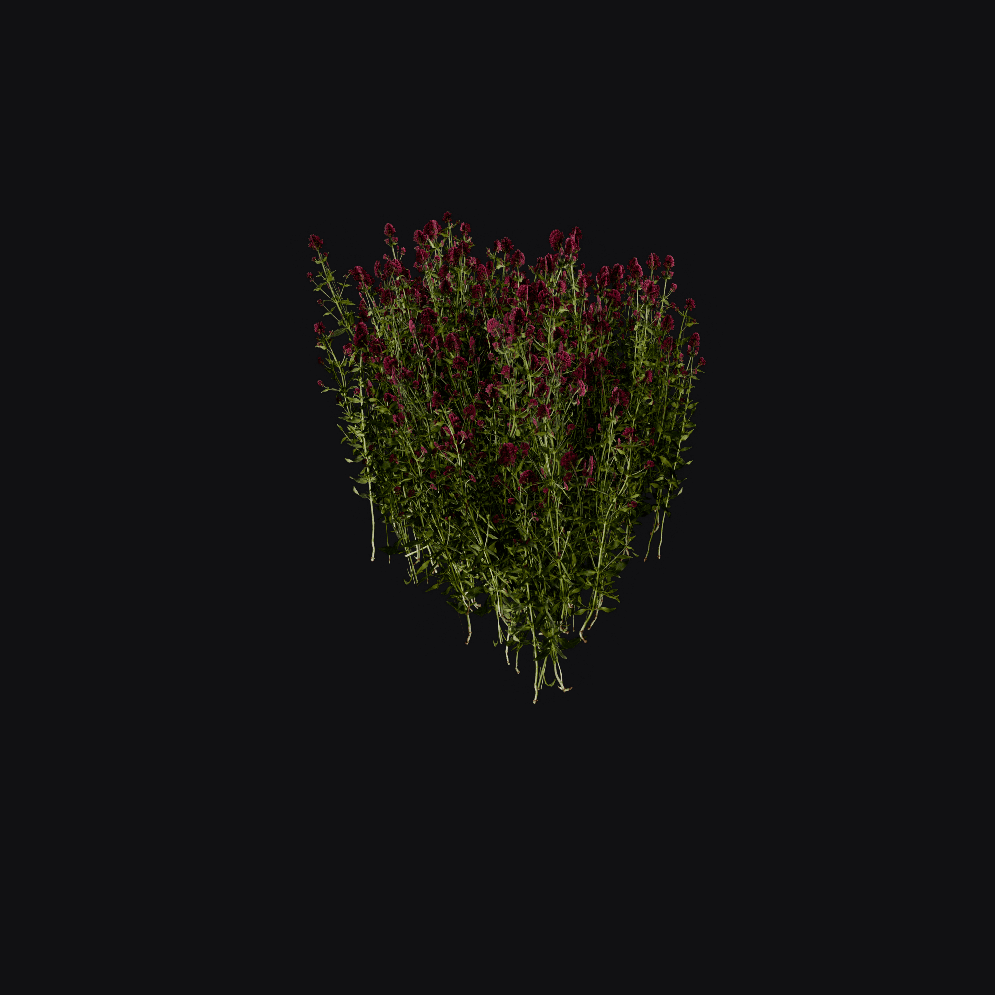 Flower Bush, free Blender 3D model render