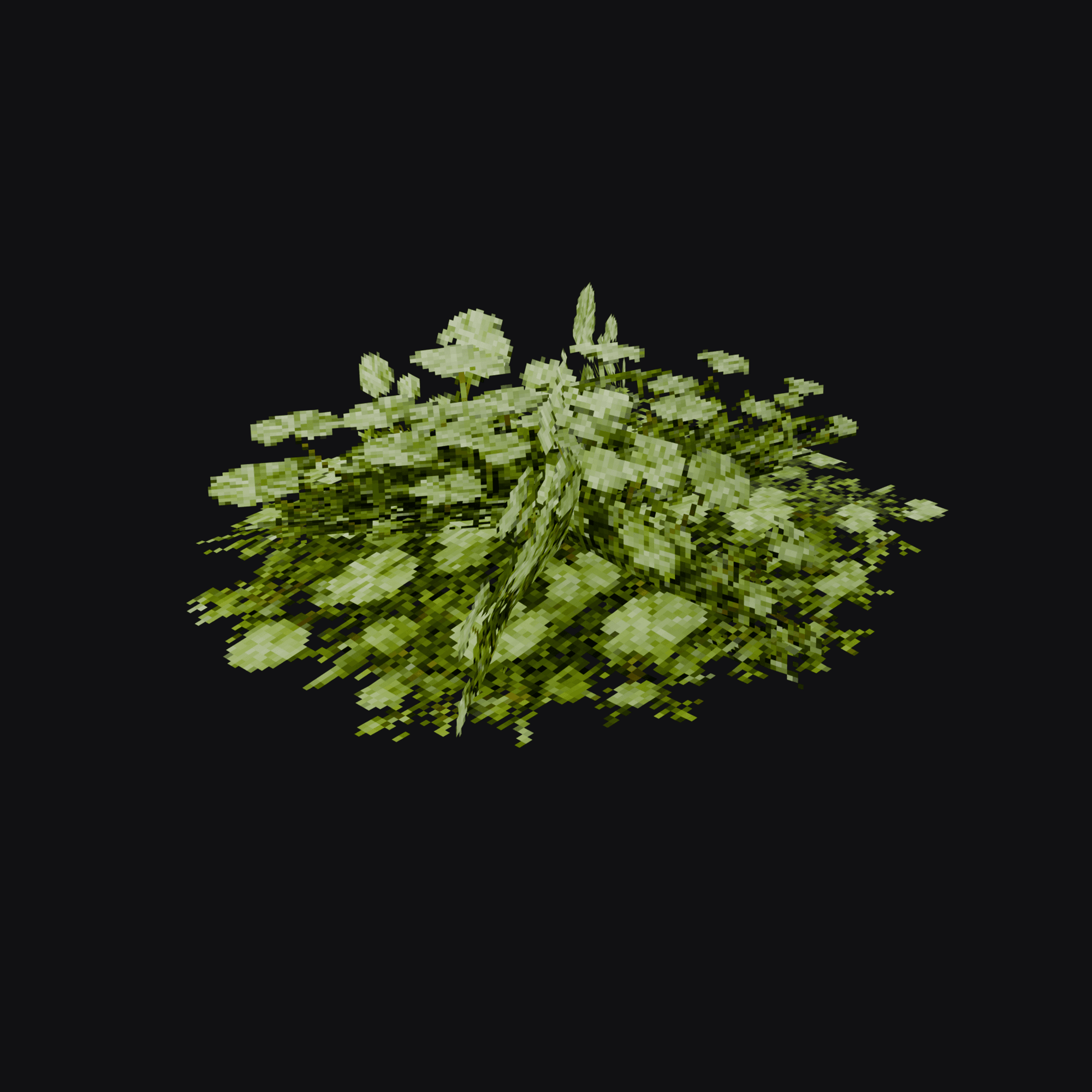 Mallow 01