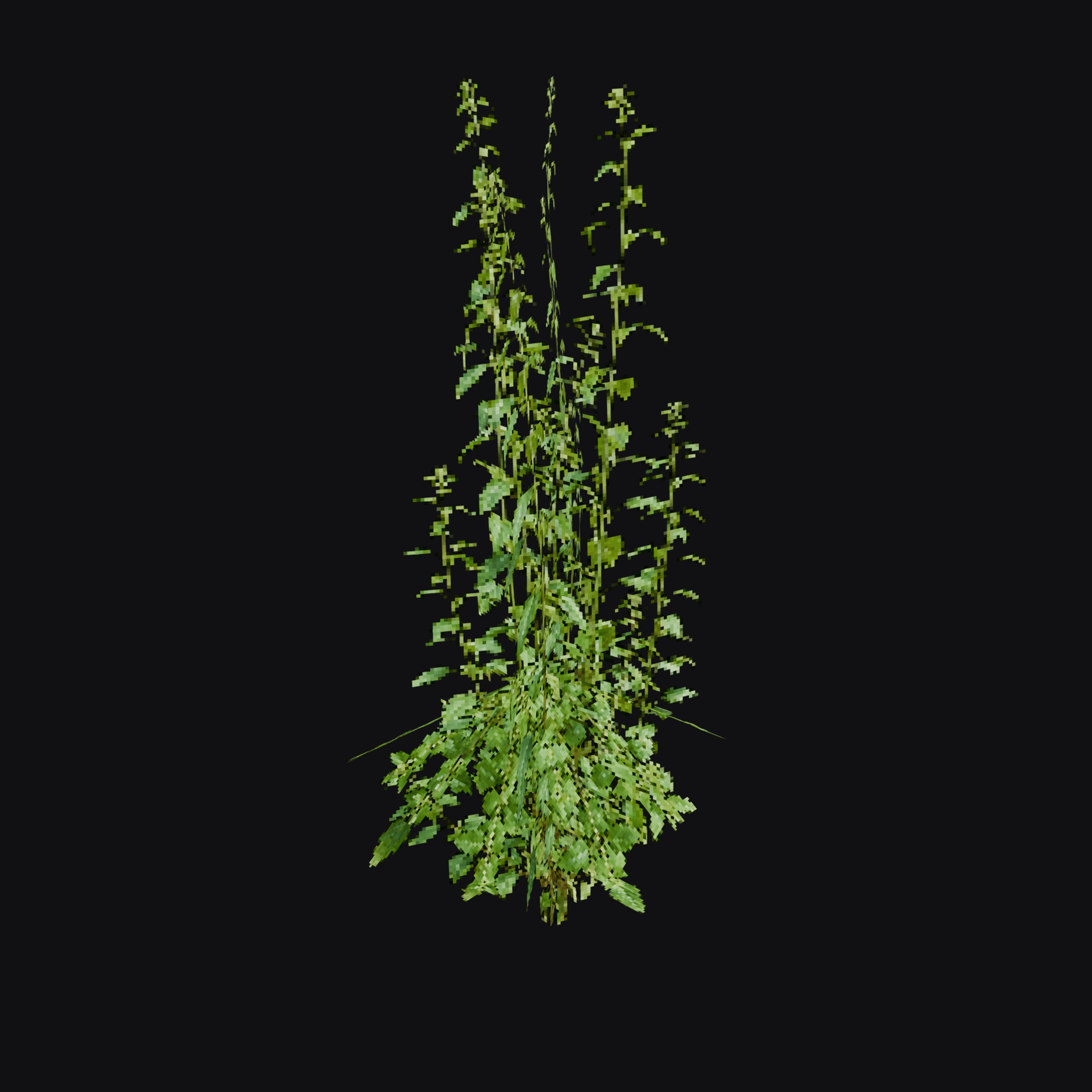 Nettle 01, free Blender 3D model render