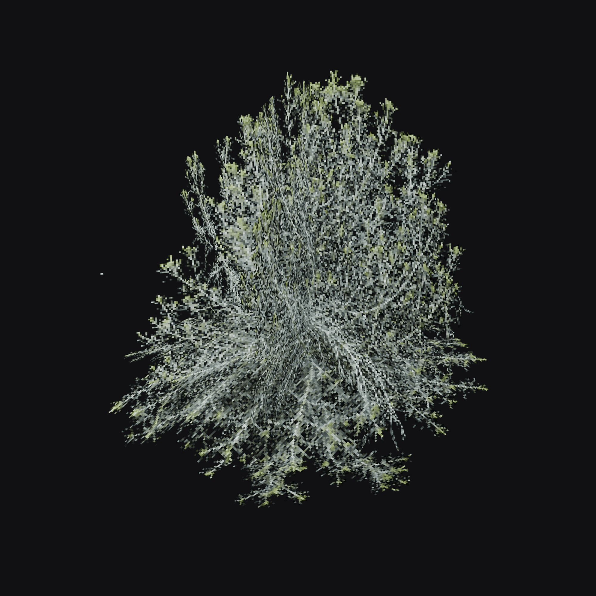 Sagebrush Shrub 01