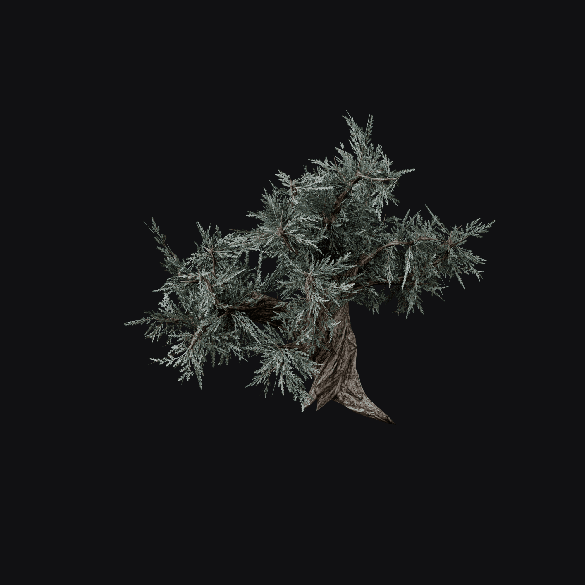 Sagebrush, free Blender 3D model render