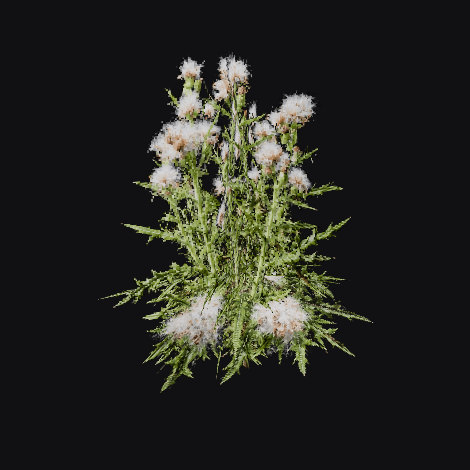 Thistle 01, free Blender 3D model render