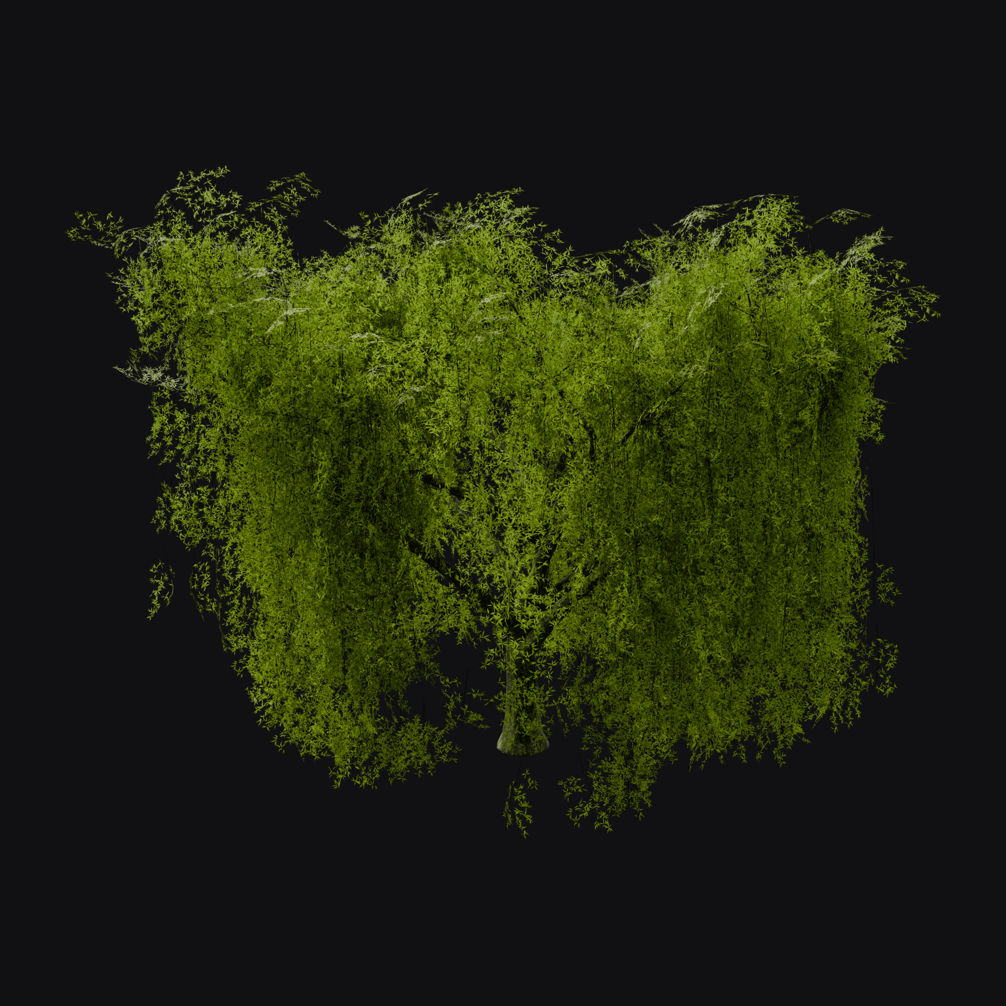 Weeping Willow 01, free Blender 3D model render
