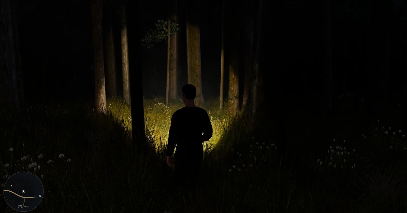 The flashlight carving a narrow path out of the dark
