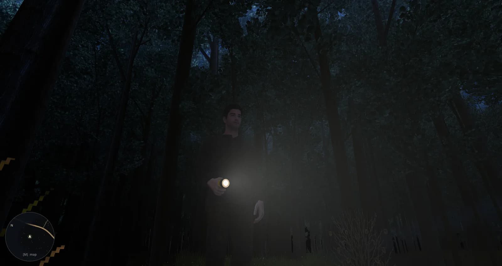 A distant light through the trees on the night rounds