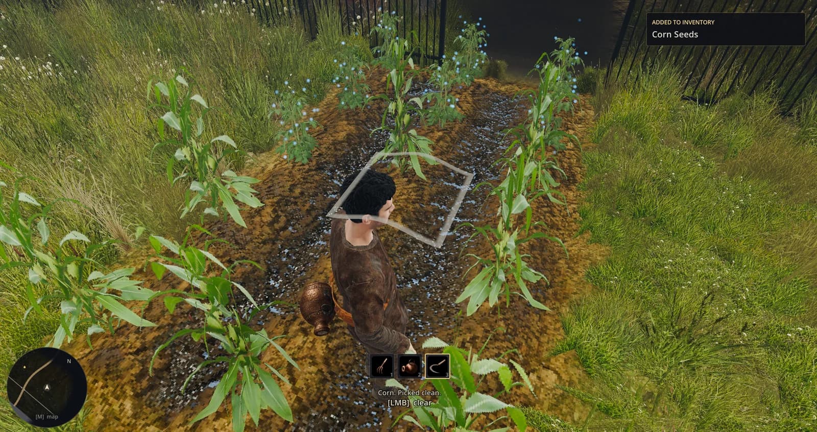 The plot picked clean, corn seeds back in the keeper's inventory