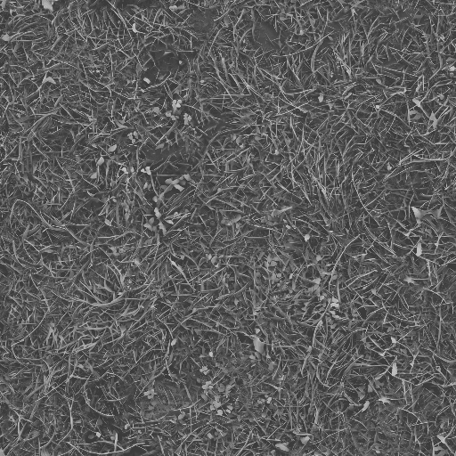 Grass Height map