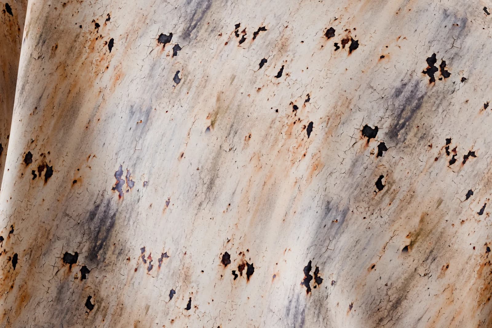 Aged cream-painted iron 02 render 2 of 5