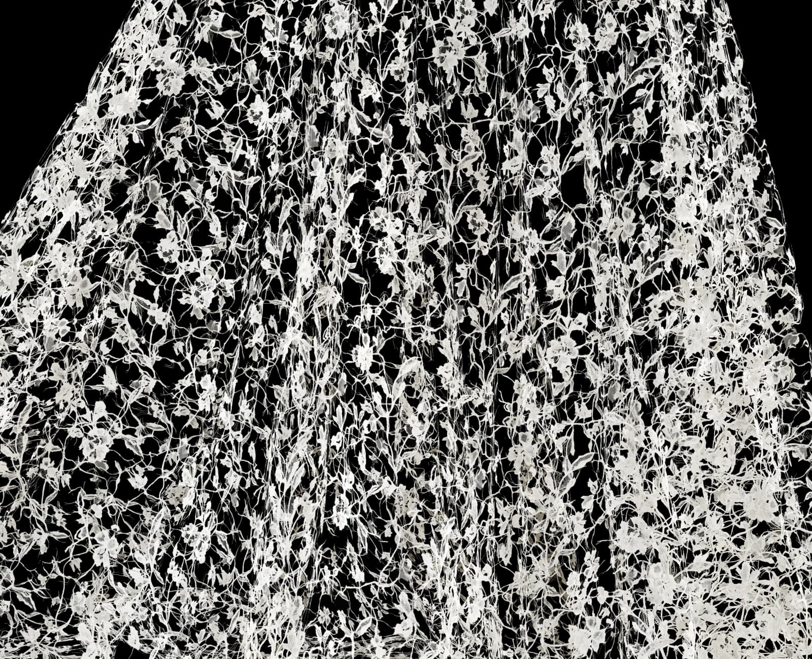 Aged floral lace curtain 01 render 5 of 5