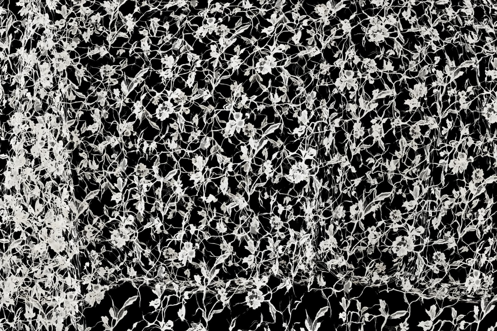 Aged floral lace curtain 01 render 2 of 5