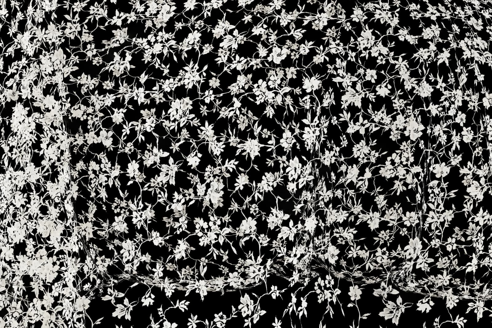 Aged floral lace curtain 02 render 2 of 5
