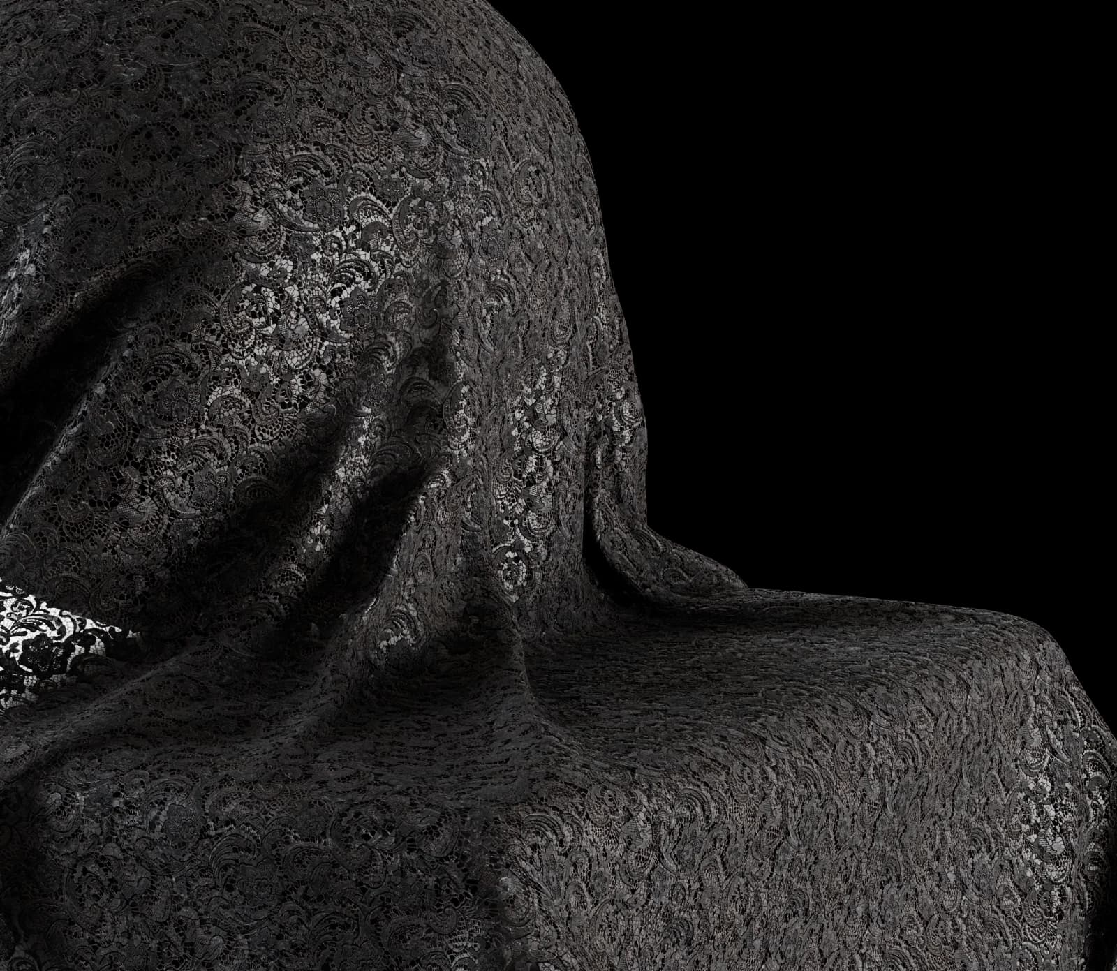 Black Guipure Lace render 3 of 5