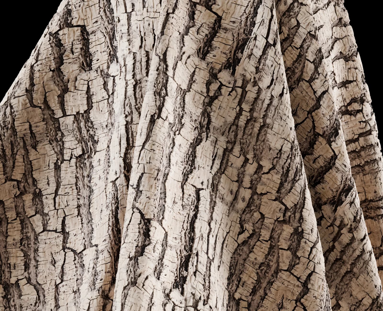 Deep fissured bark 02 render 5 of 5
