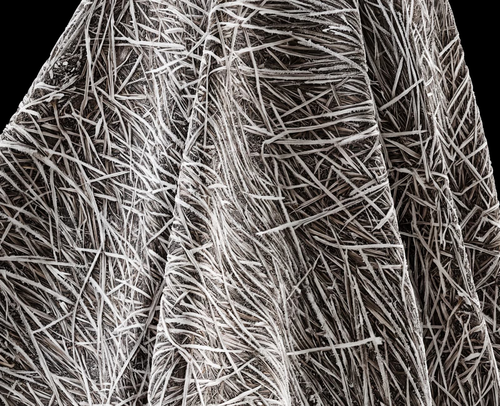 Frosted dormant grass 01 render 5 of 5