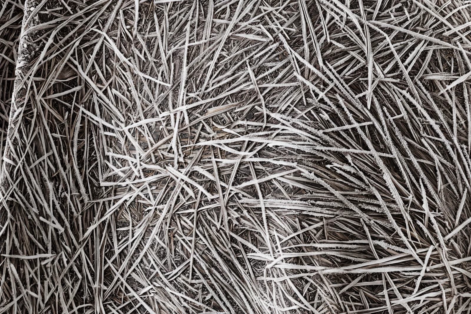 Frosted dormant grass 01 render 2 of 5