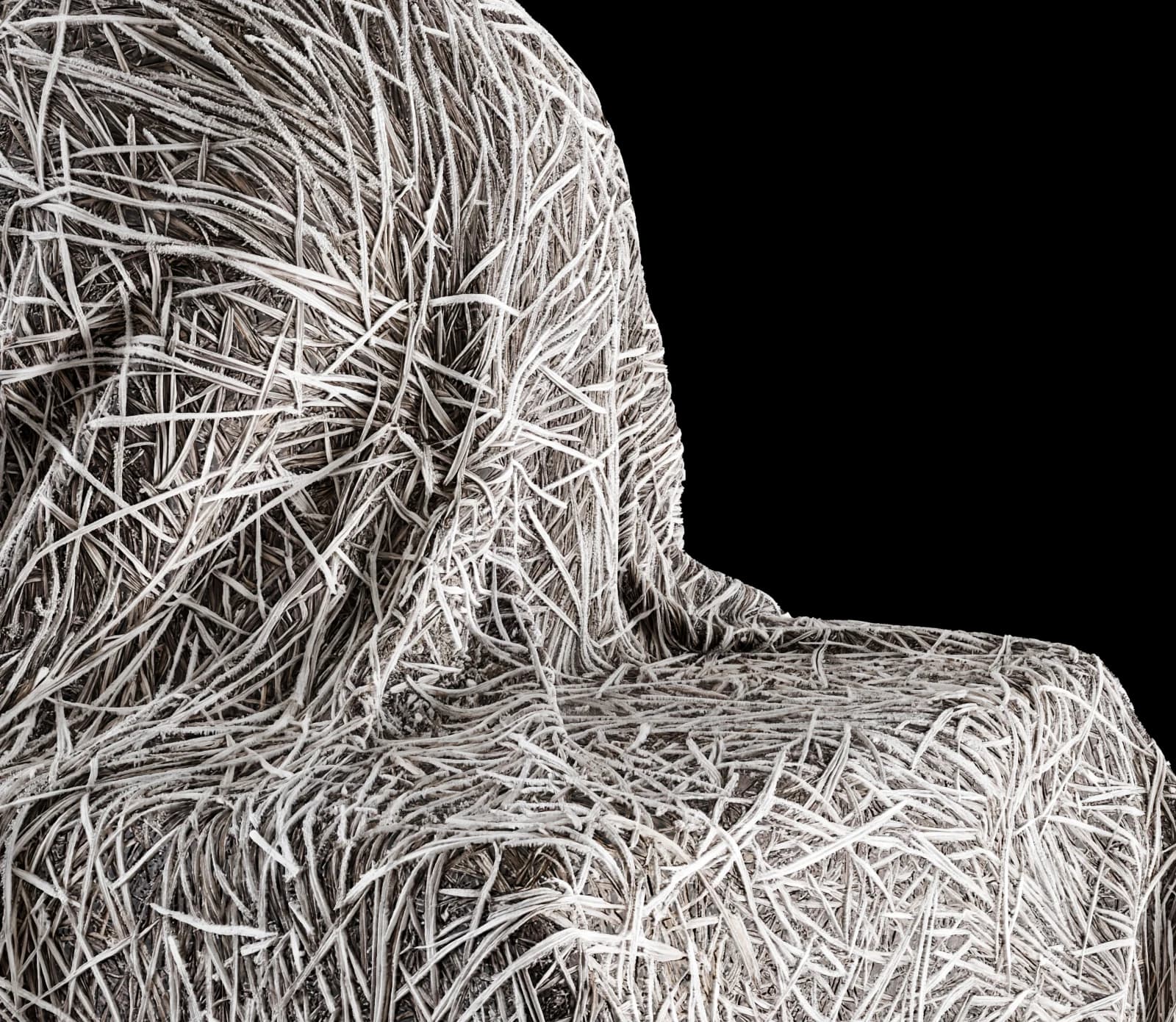Frosted dormant grass 01 render 3 of 5