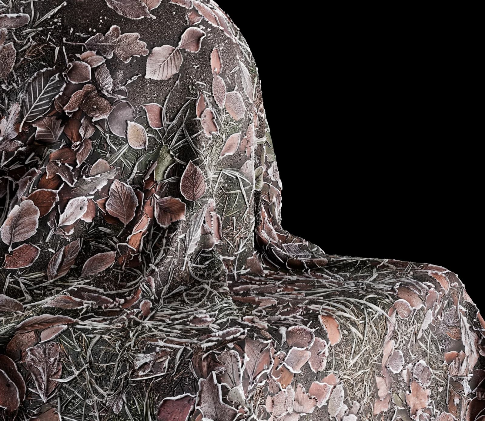 Frosted winter leaf litter 01 render 3 of 5