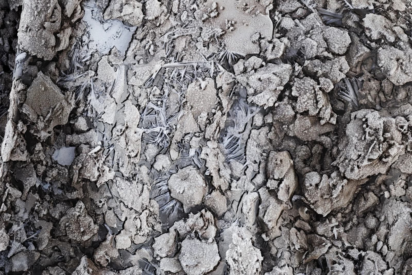 Frozen muddy ground 02 render 2 of 5