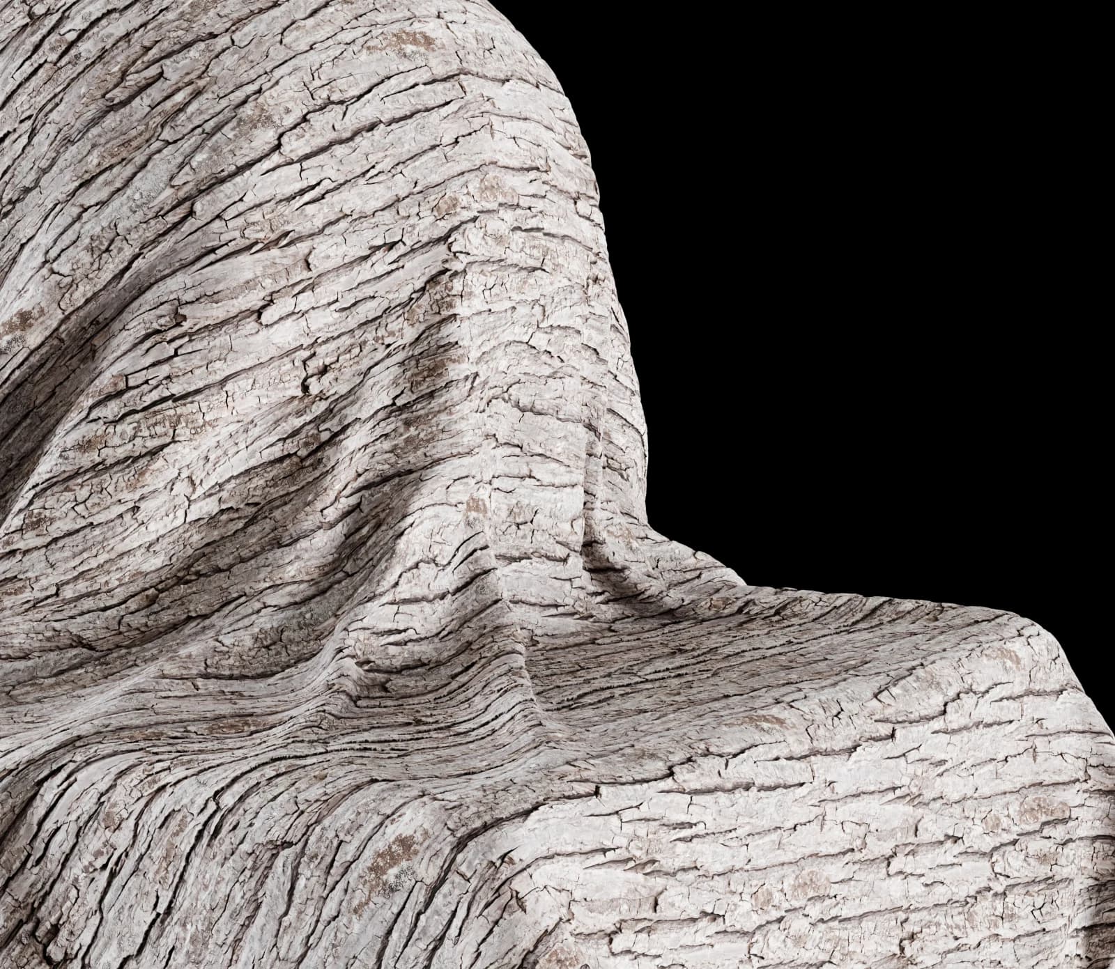 Grey lime tree bark 02 render 3 of 5