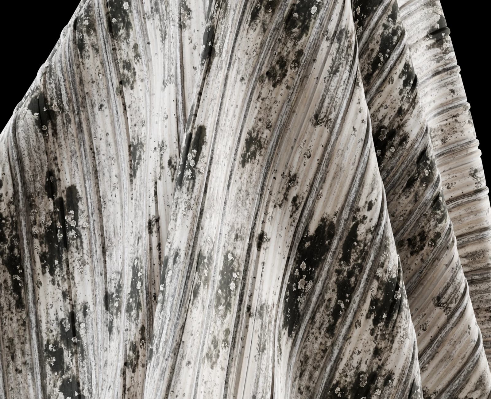 Lichen-grey corrugated roof 02 render 5 of 5