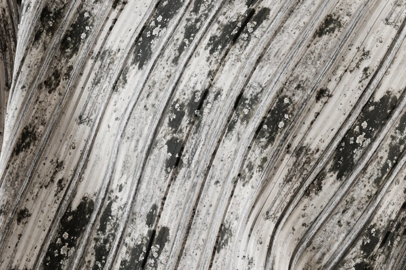 Lichen-grey corrugated roof 02 render 2 of 5