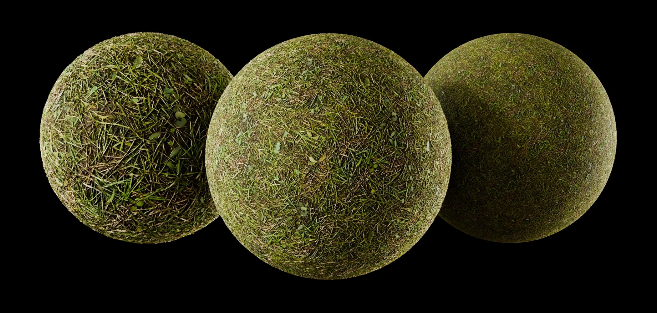 Mixed grassy verge 02 render 1 of 5