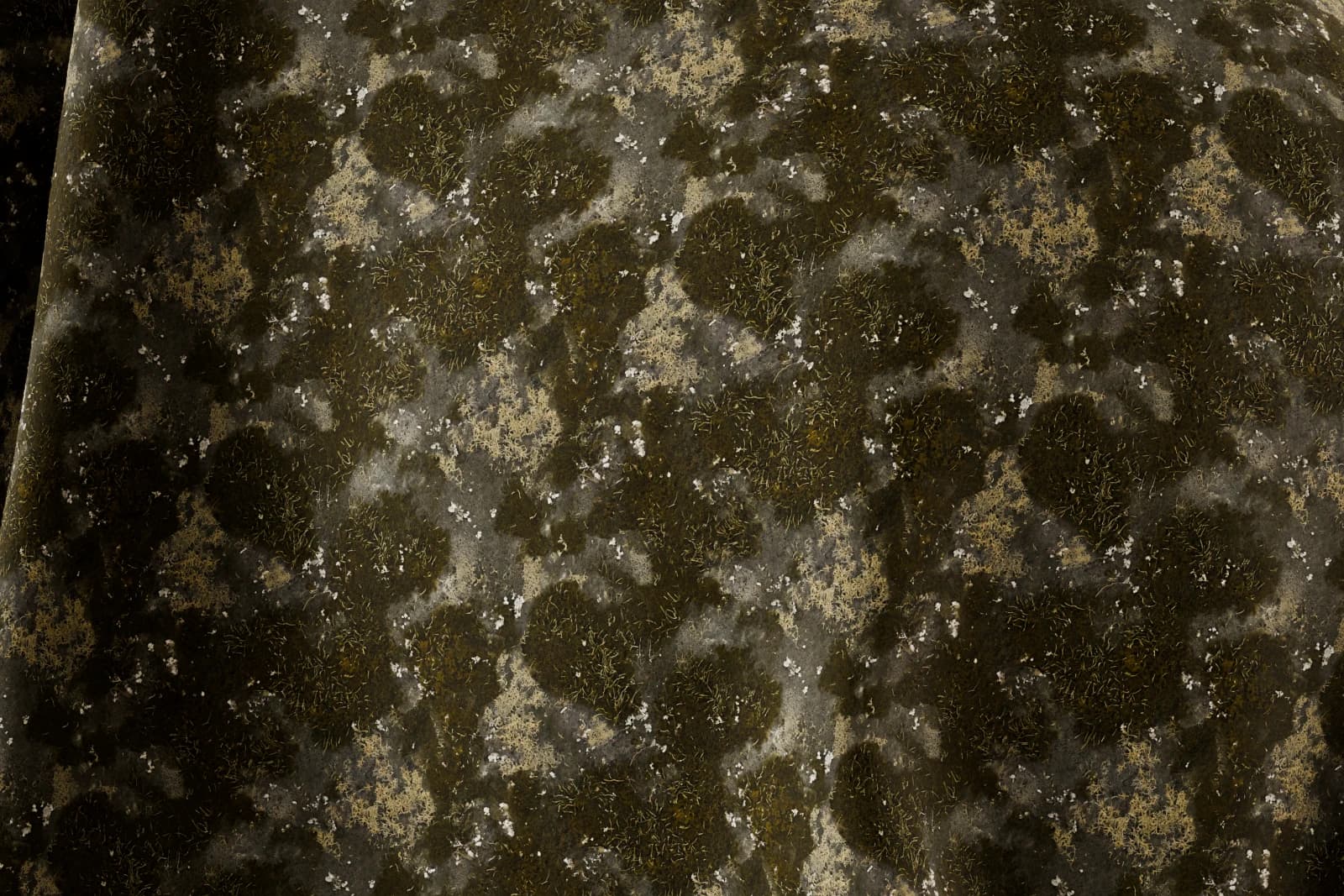 Moss and algae growth 02 render 2 of 5