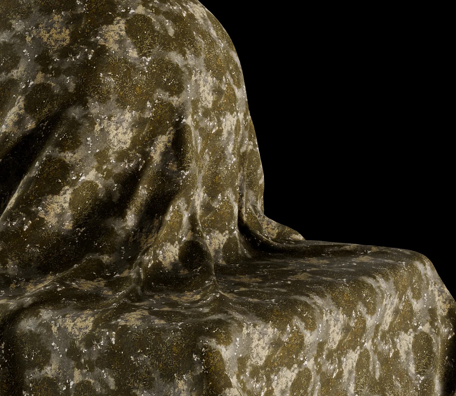 Moss and algae growth 02 render 3 of 5