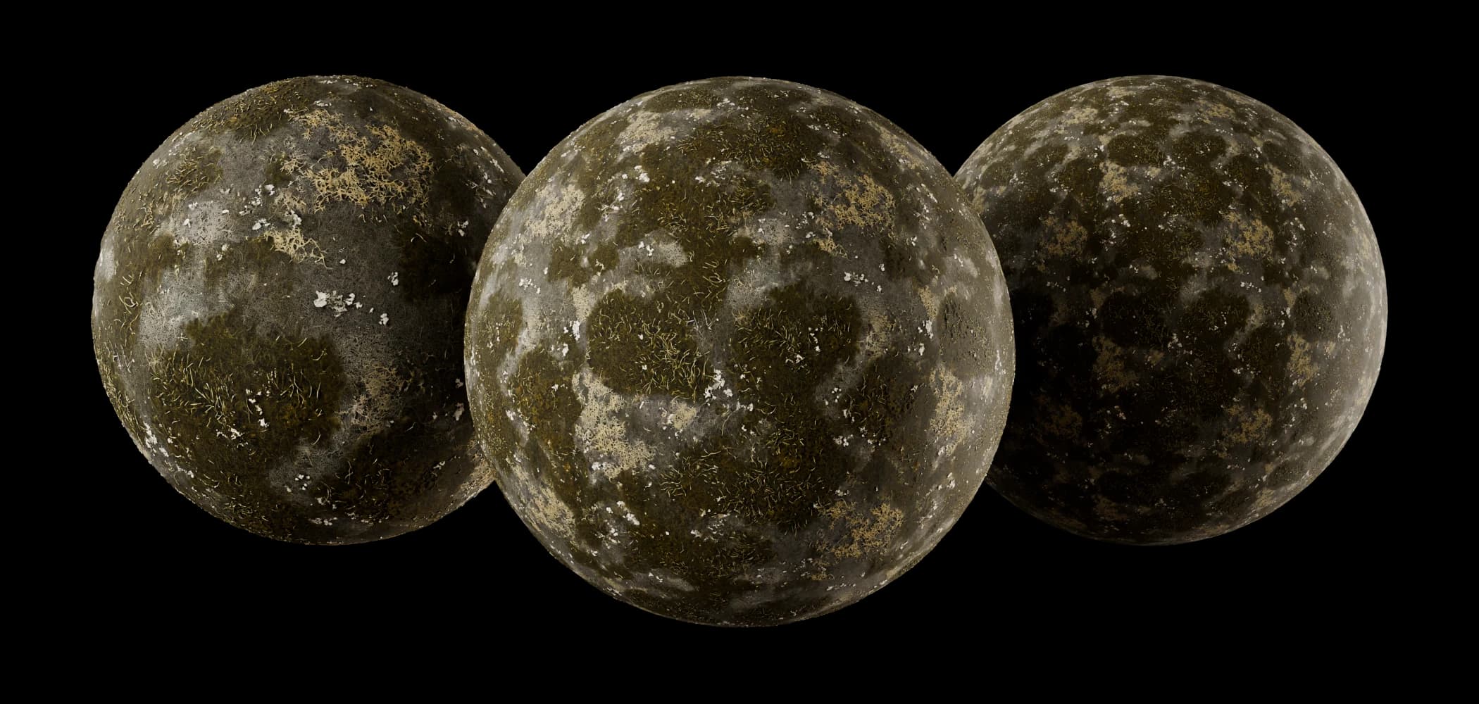Moss and algae growth 02 render 1 of 5