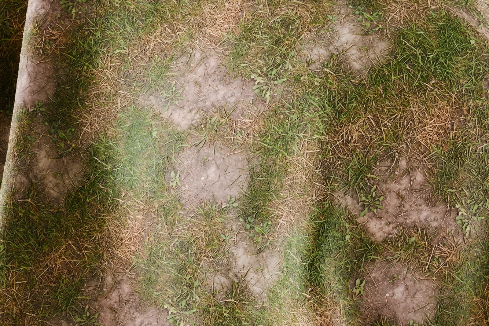 Patchy grass and earth 01 render 2 of 5