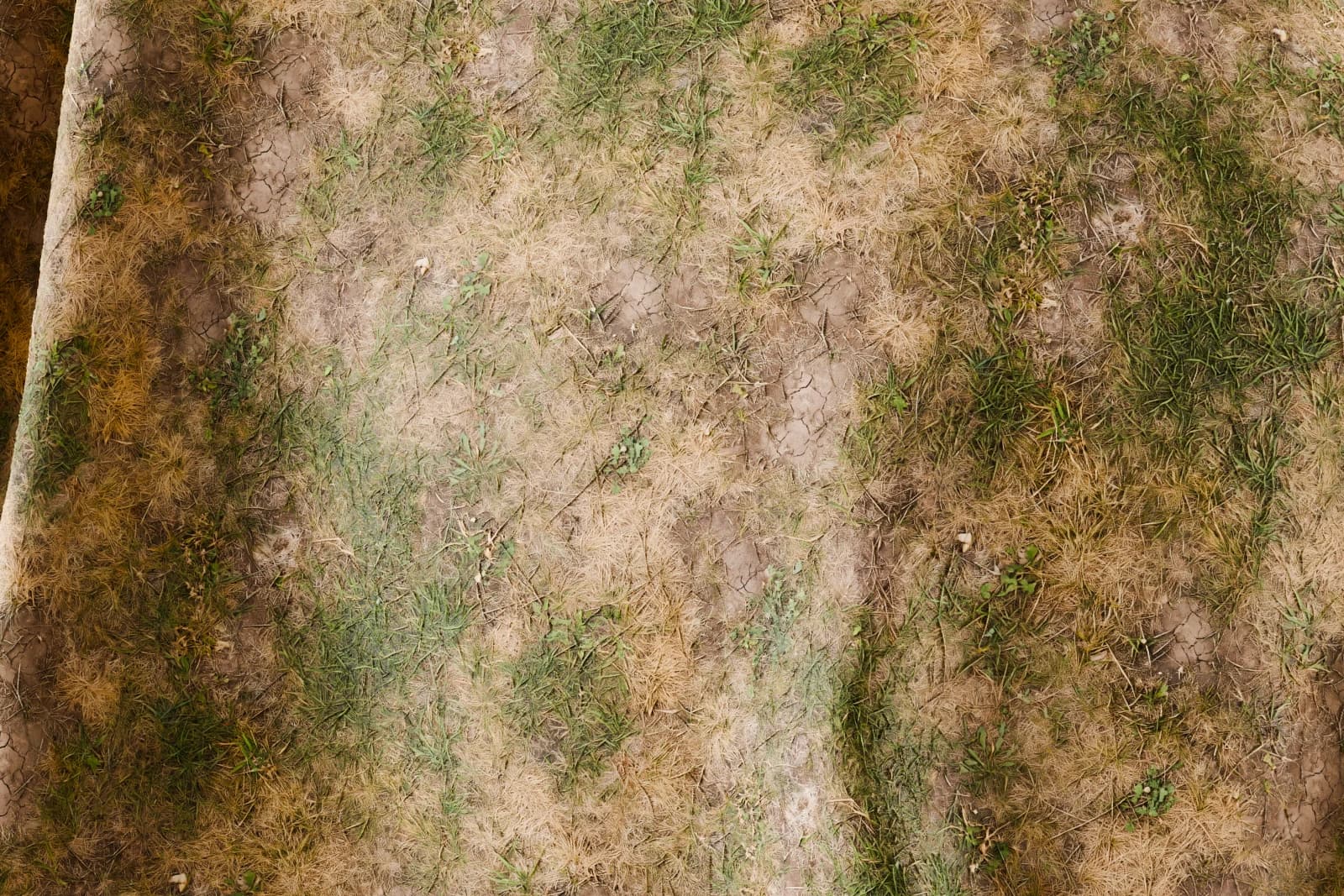 Patchy grass and earth 02 render 2 of 5
