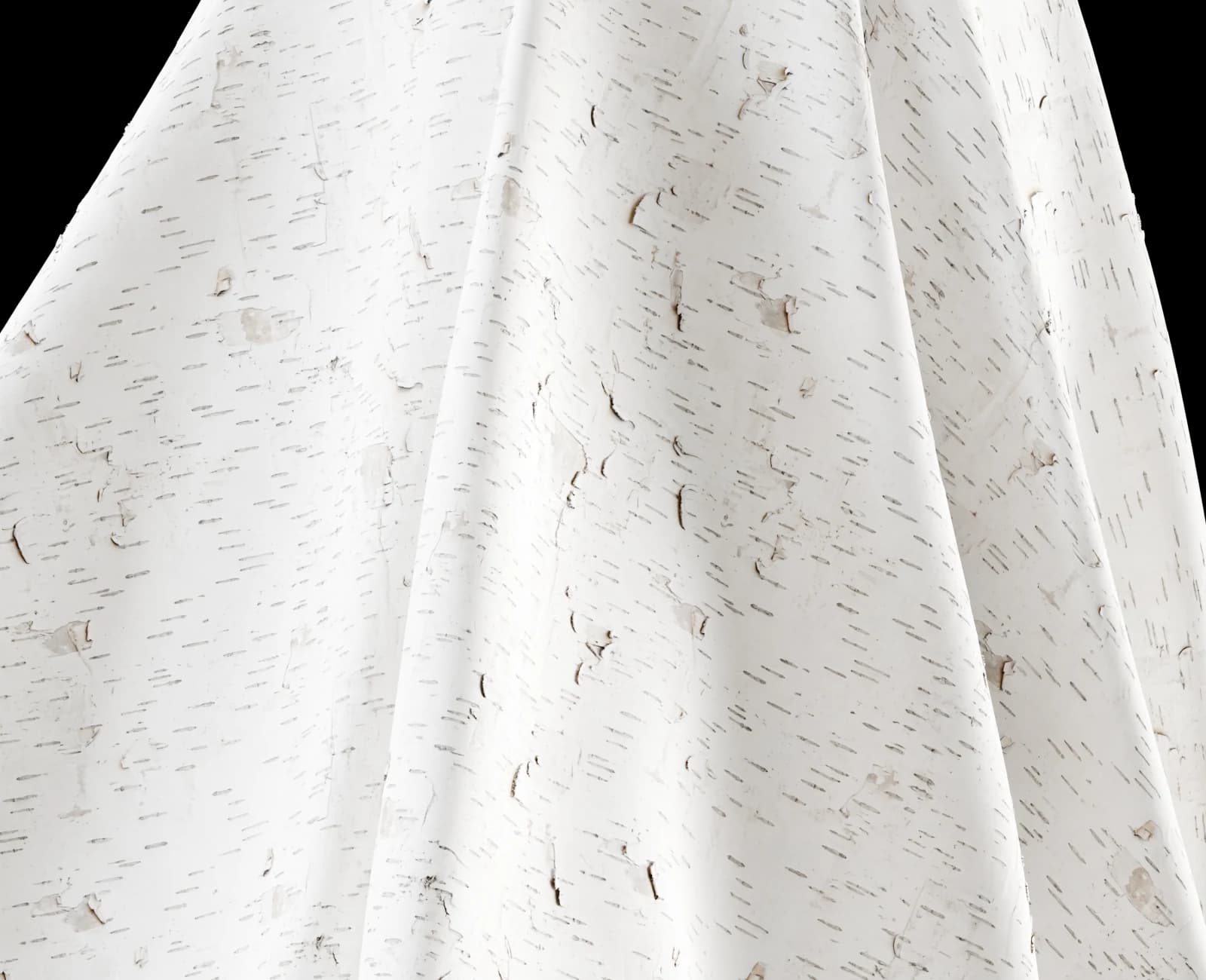 Peeling white birch bark 01 render 5 of 5