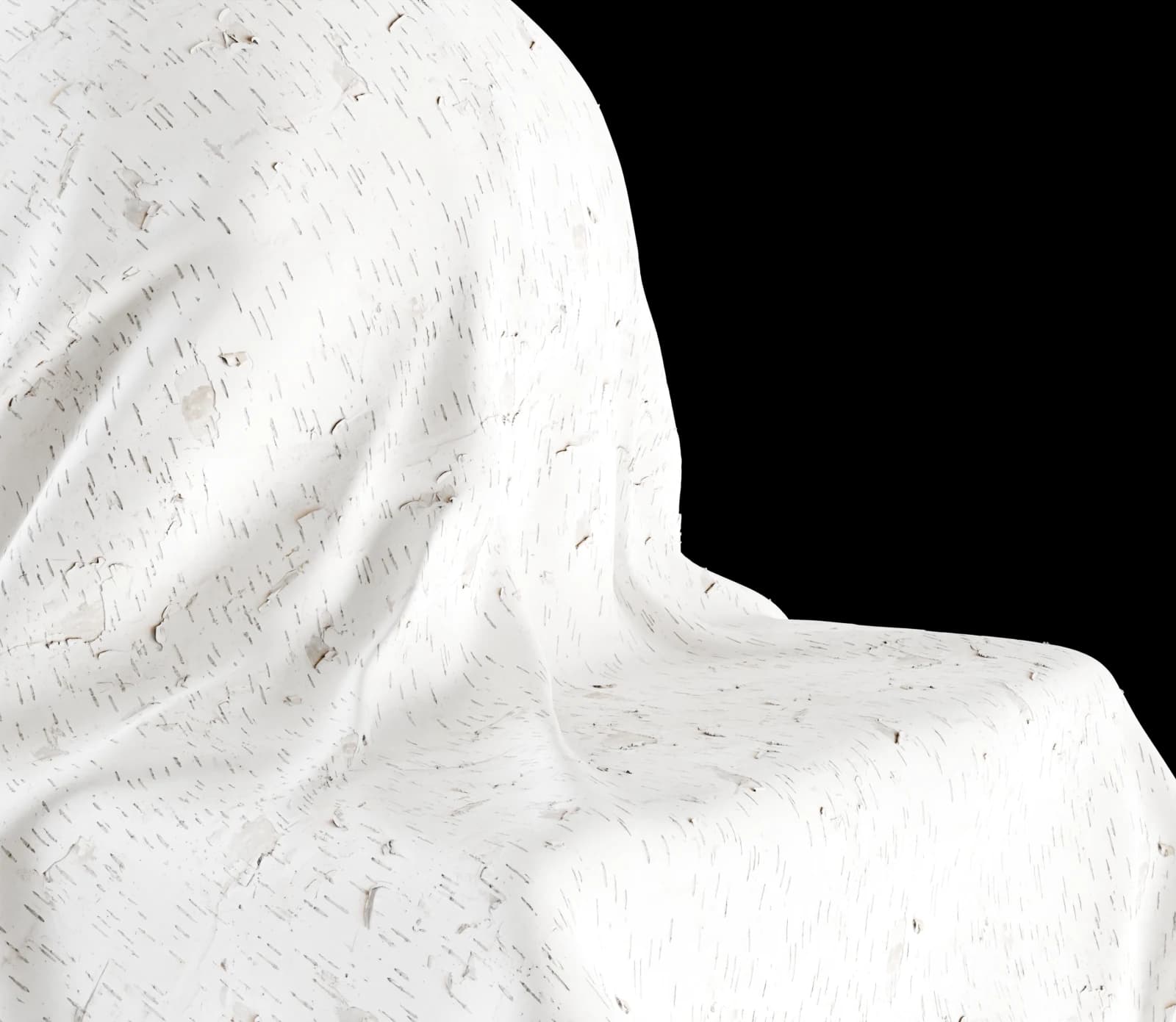 Peeling white birch bark 01 render 3 of 5