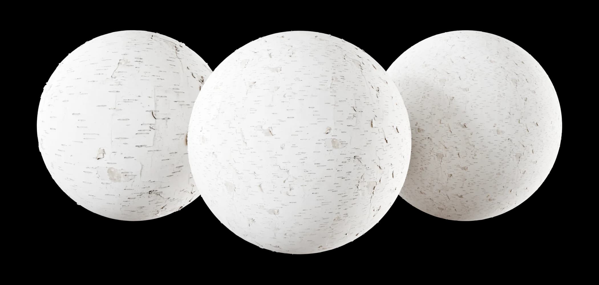 Peeling white birch bark 01 render 1 of 5
