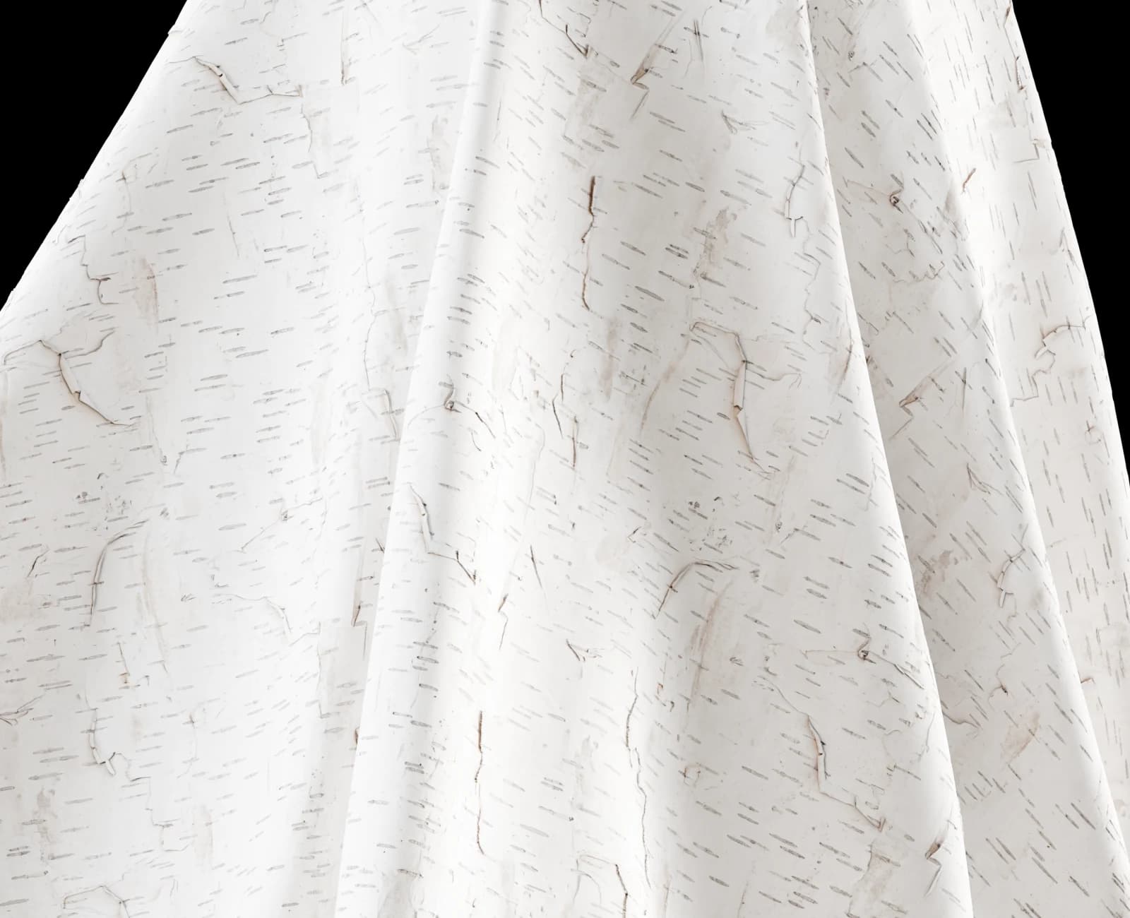 Peeling white birch bark 02 render 5 of 5