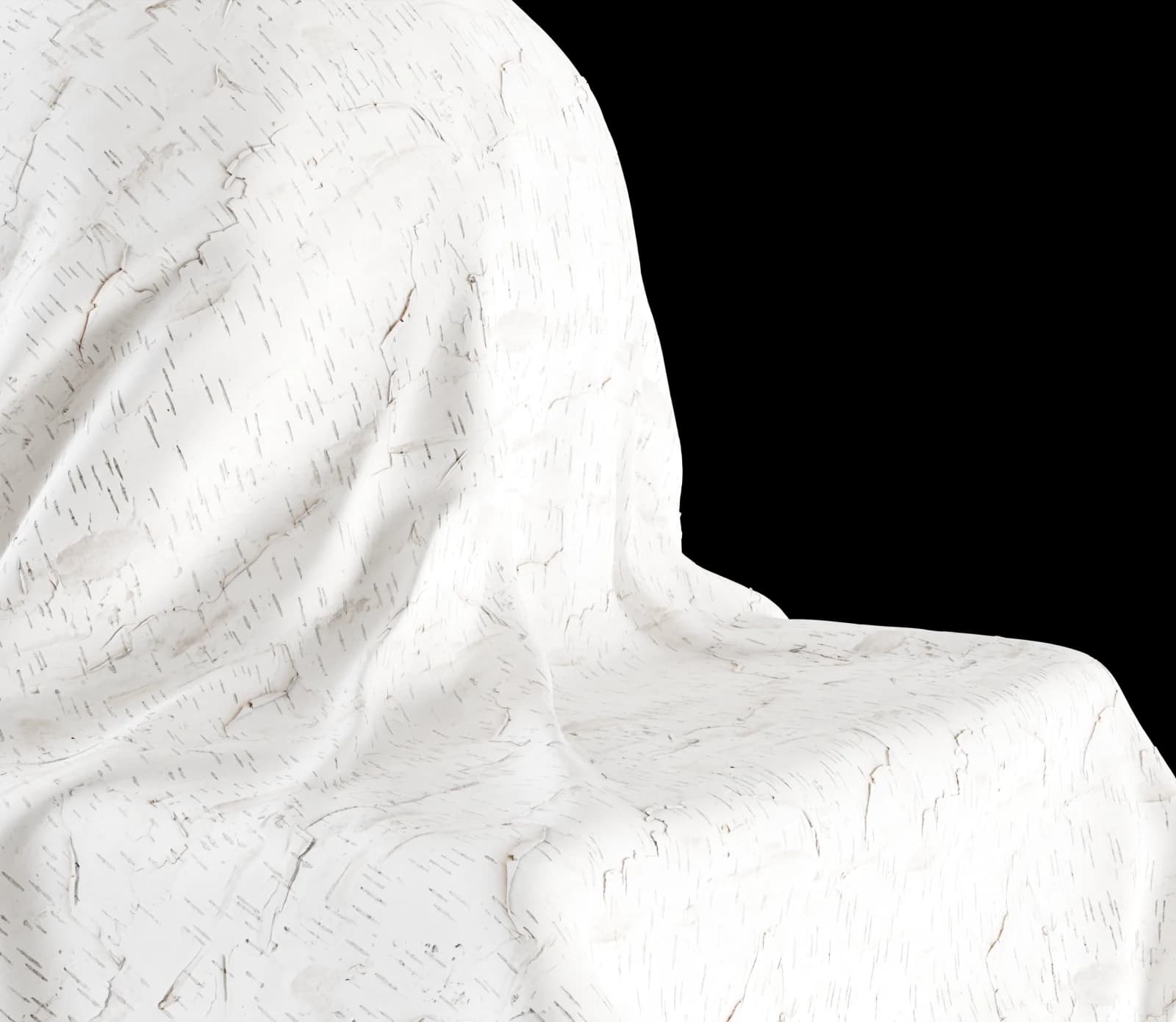 Peeling white birch bark 02 render 3 of 5