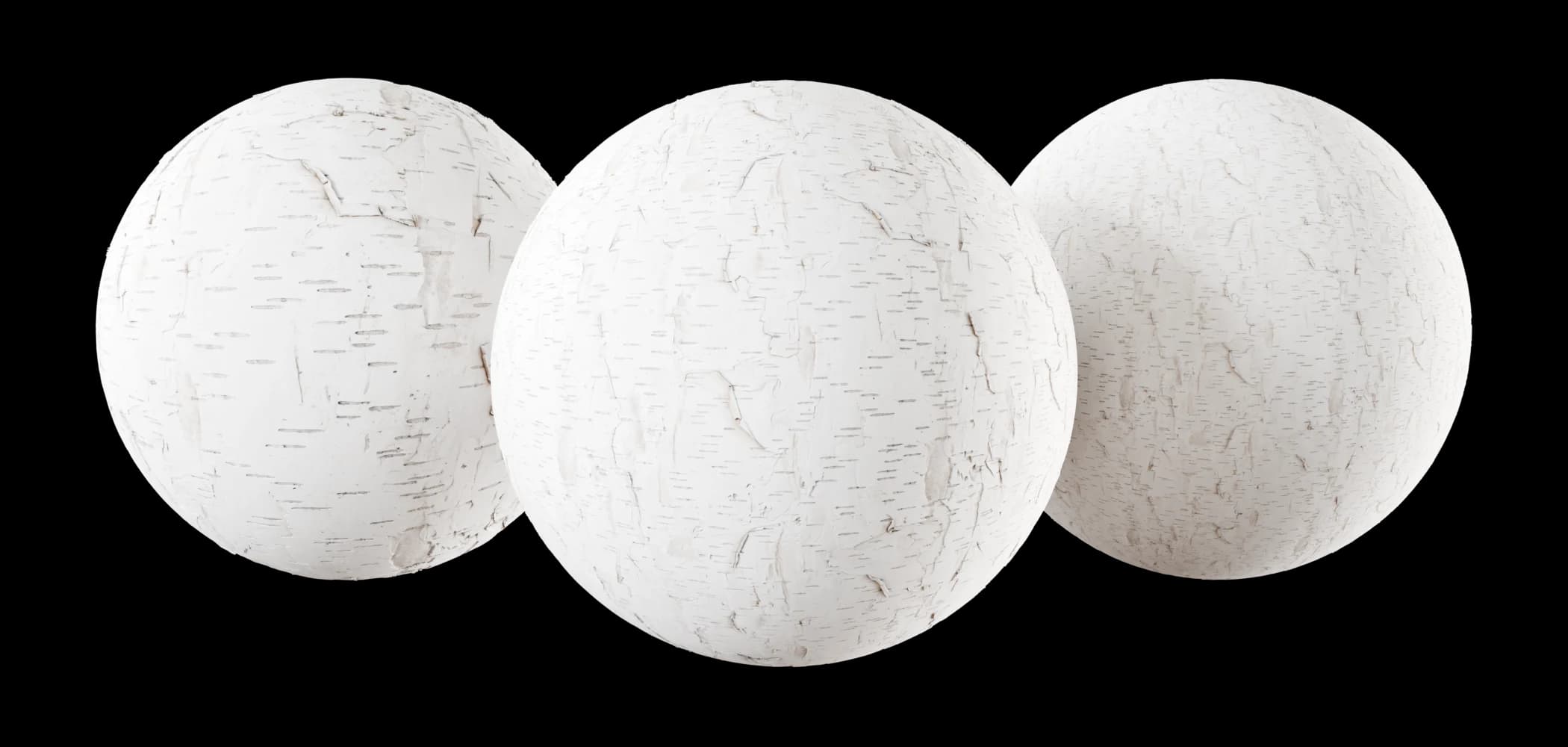 Peeling white birch bark 02 render 1 of 5