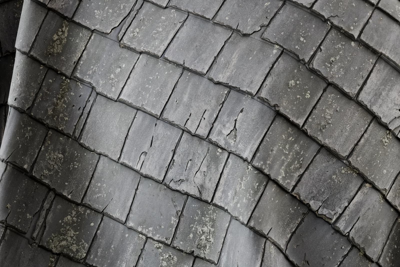 Weathered grey-green roof shingles 02 render 2 of 5