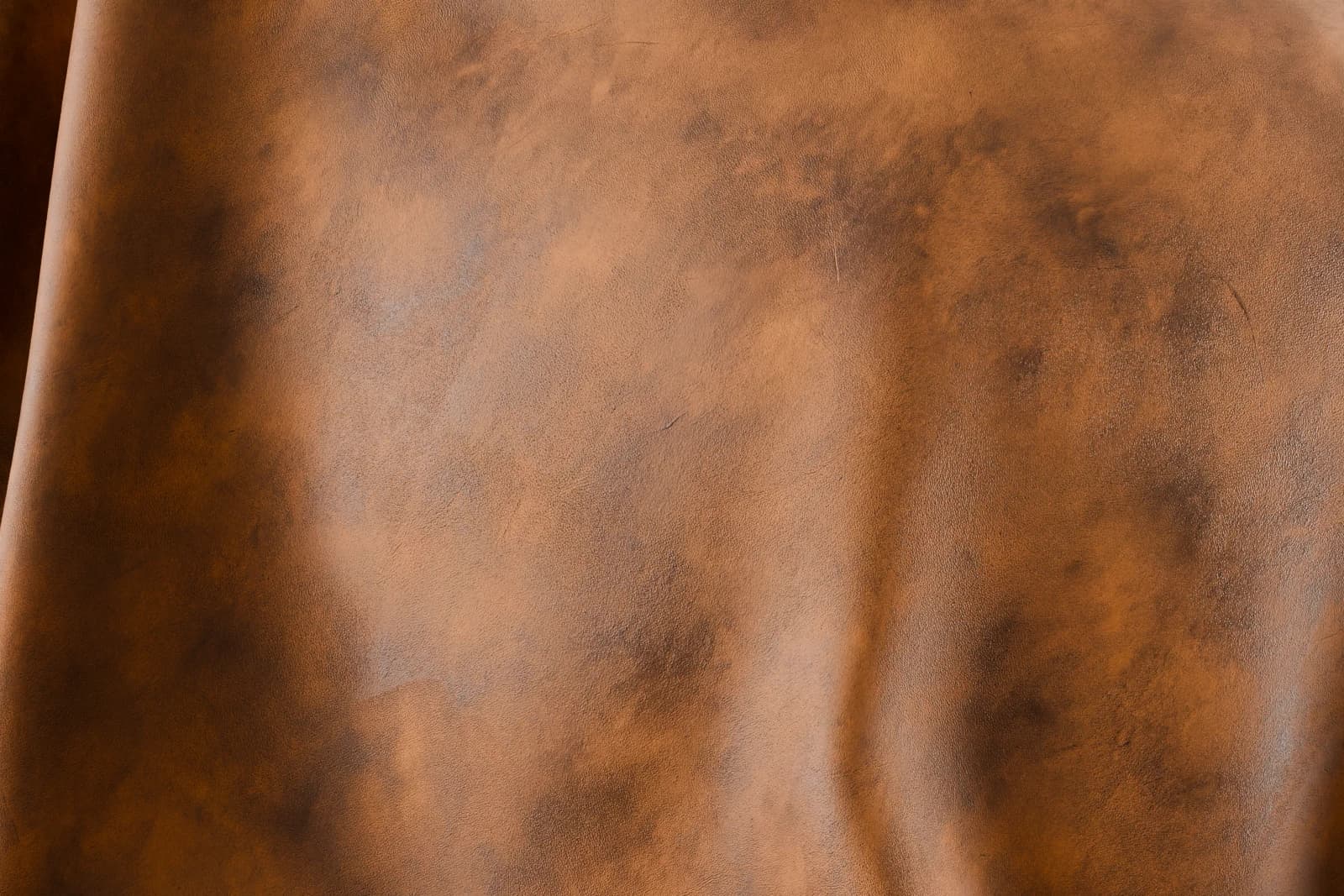 Western Distressed Leather render 2 of 5