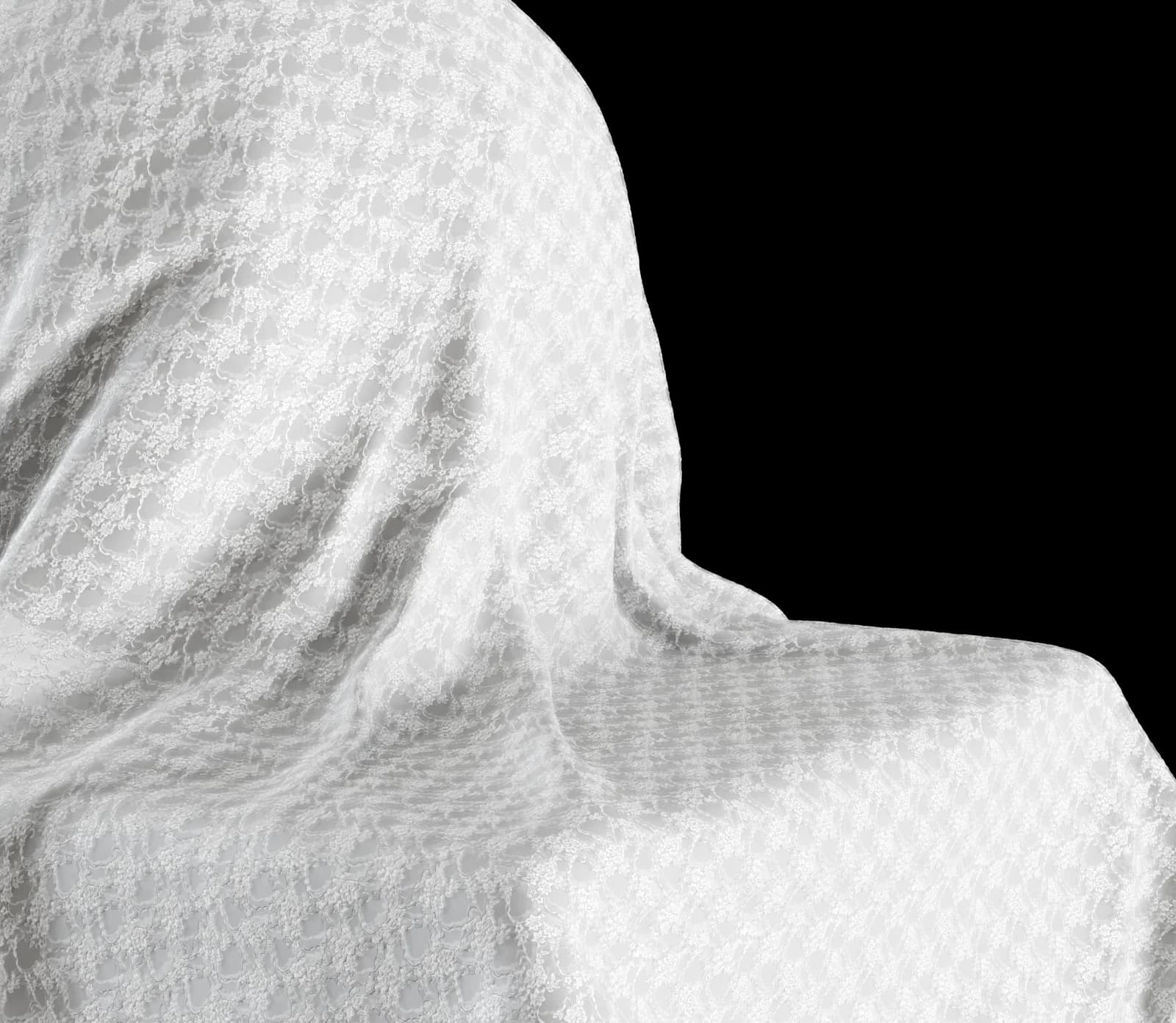 White Floral Lace render 3 of 5
