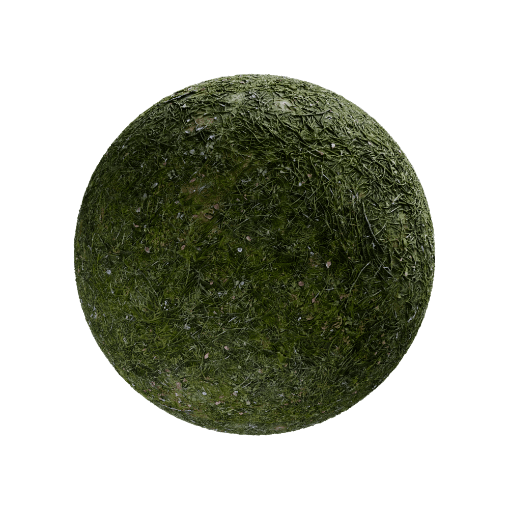 Grass