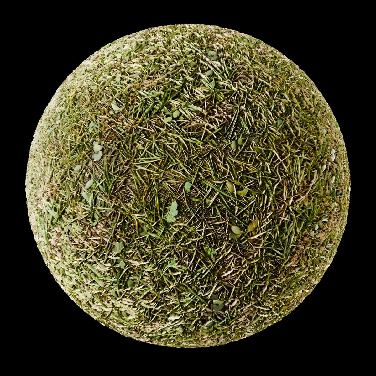 Mixed grassy verge 02 render 1 of 2
