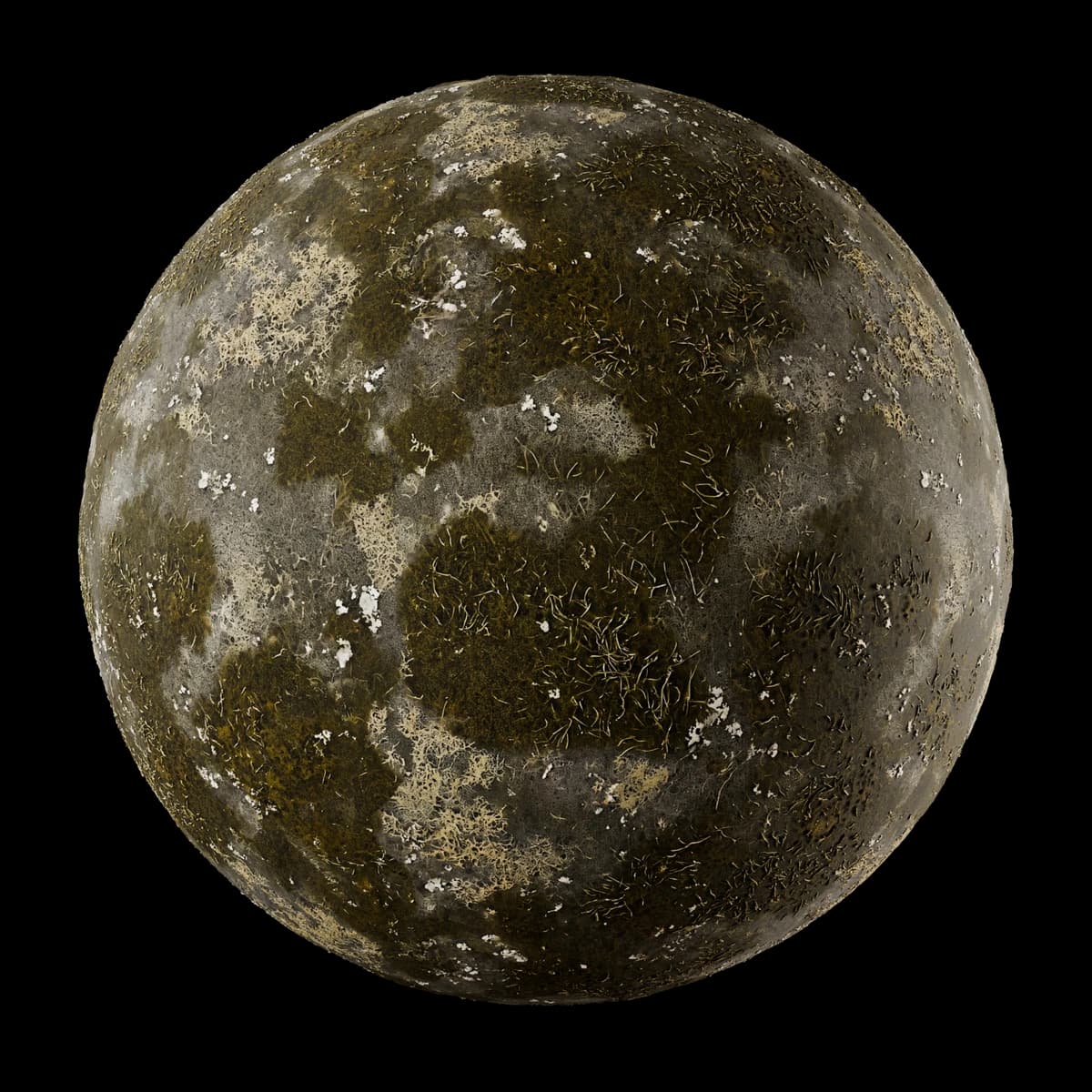 Moss and algae growth 02, seamless PBR texture render