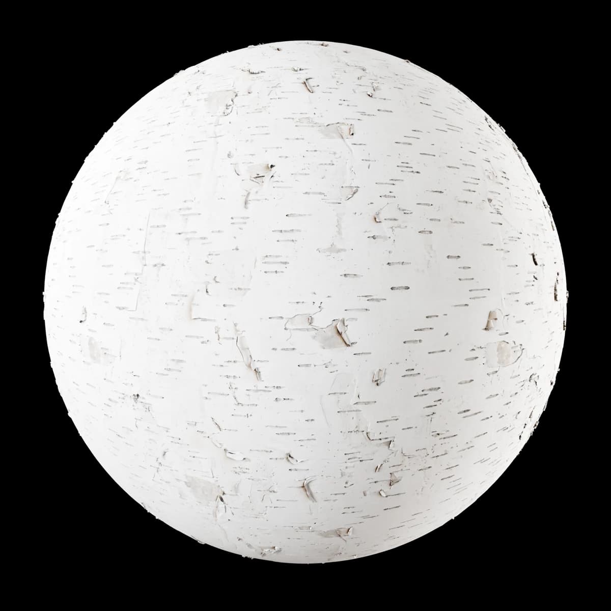 Peeling white birch bark 01, seamless PBR texture render