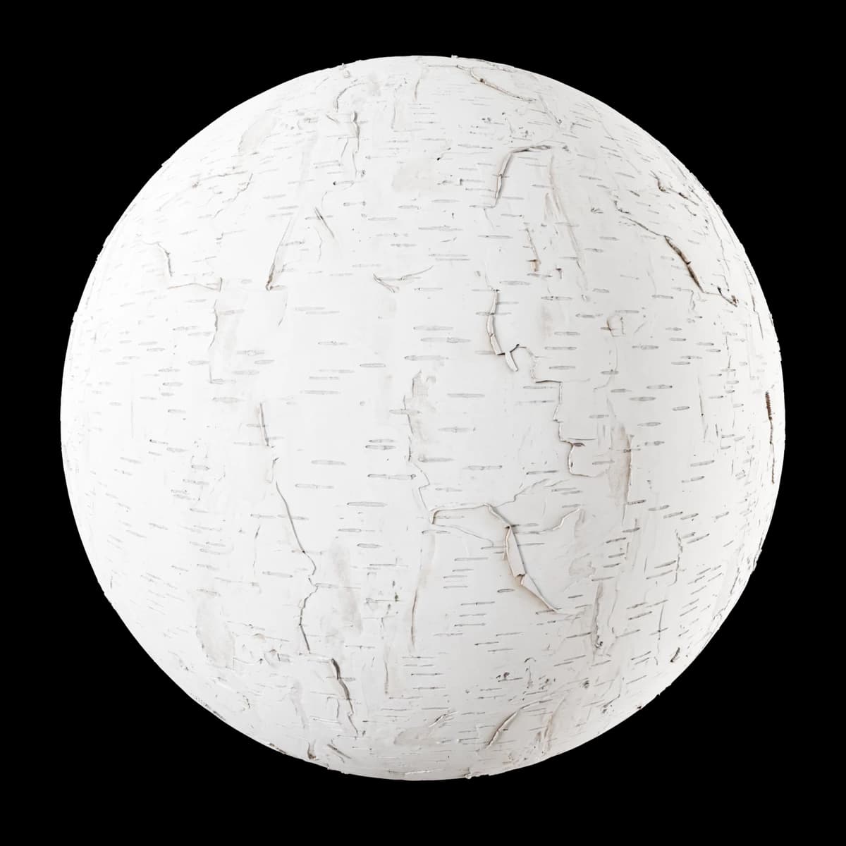 Peeling white birch bark 02, seamless PBR texture render