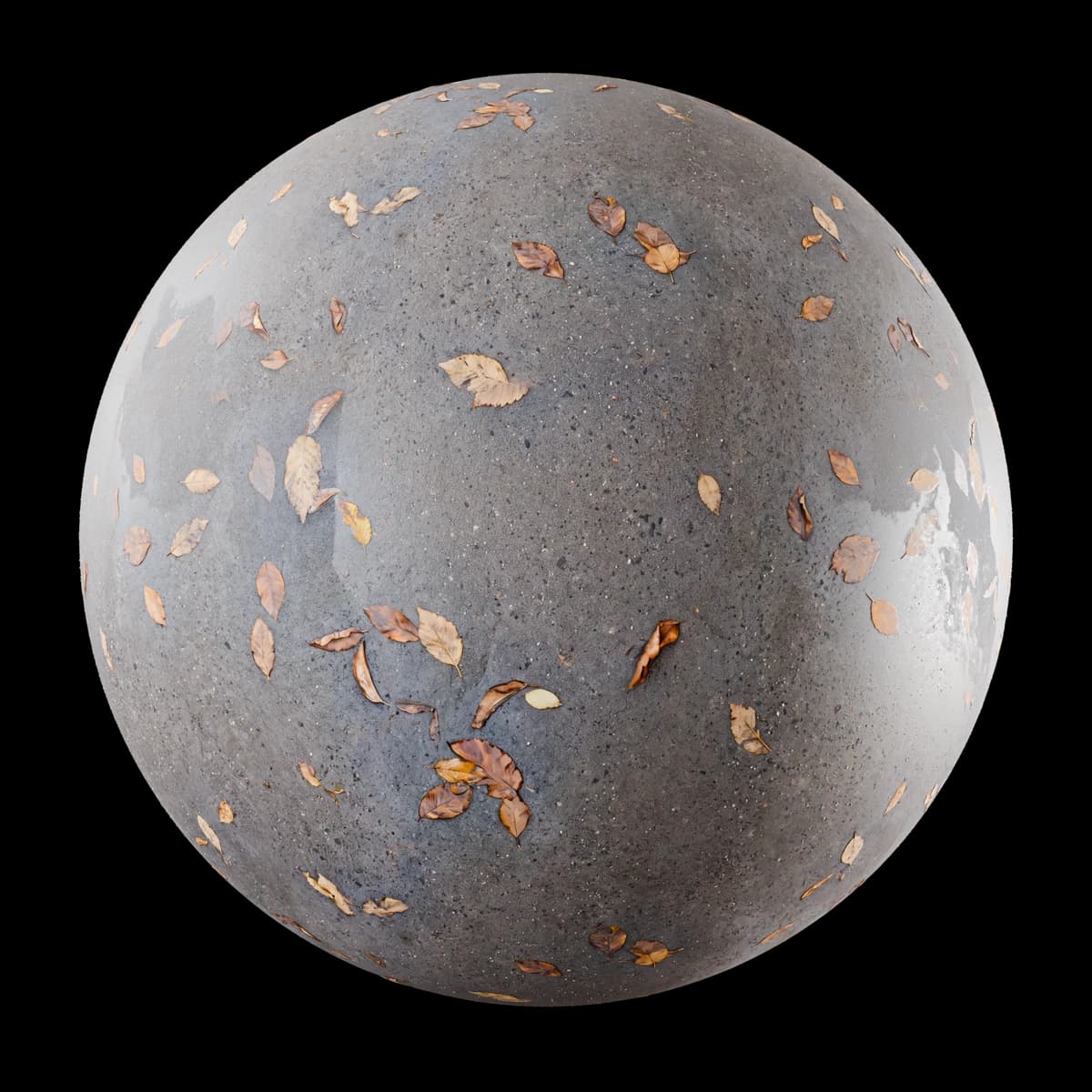 Wet concrete with autumn leaves 01 render 1 of 2