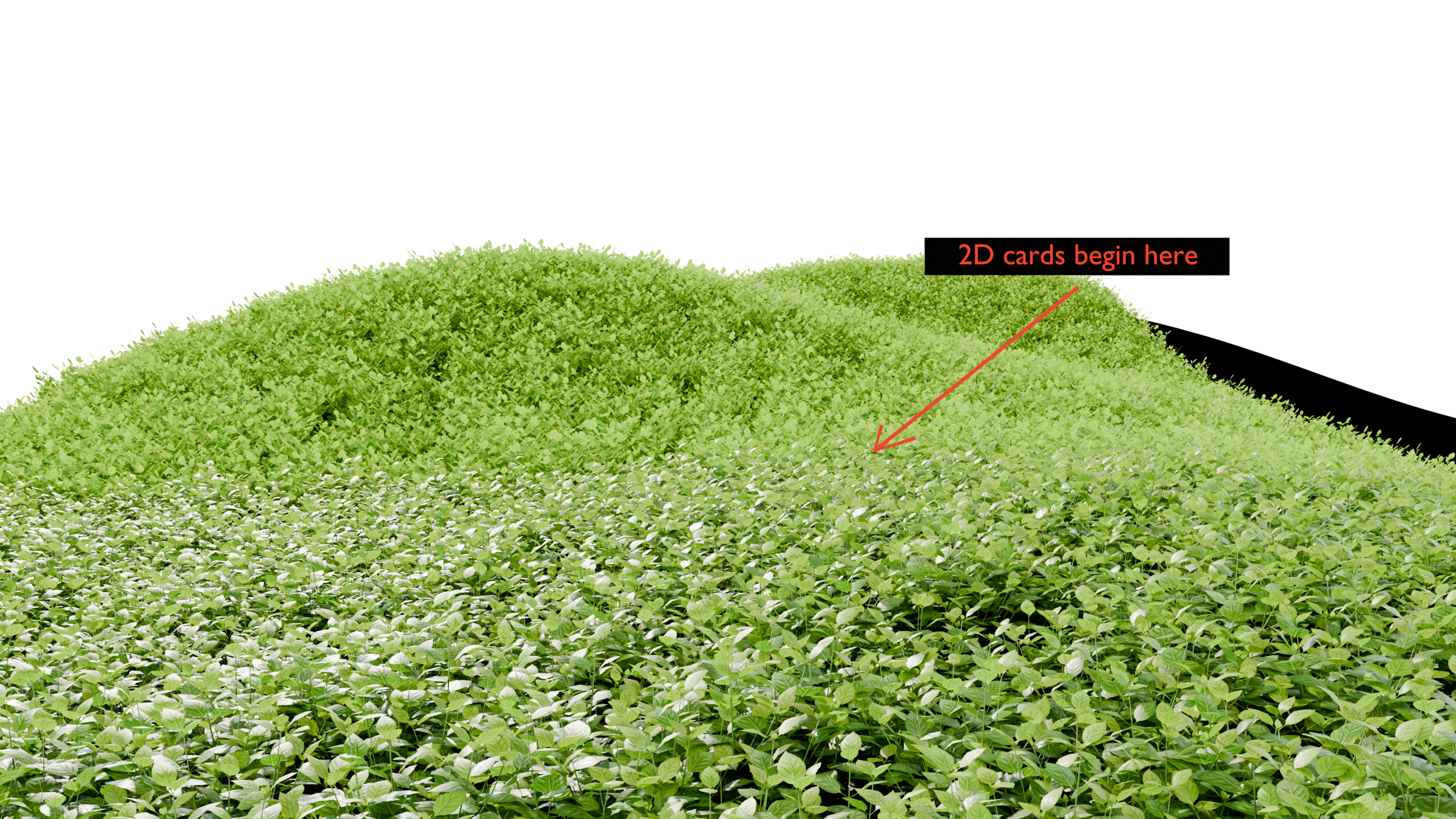 Dense basil across rolling hills, with 3D plants in the foreground and a red arrow marking where distant 2D cards begin.