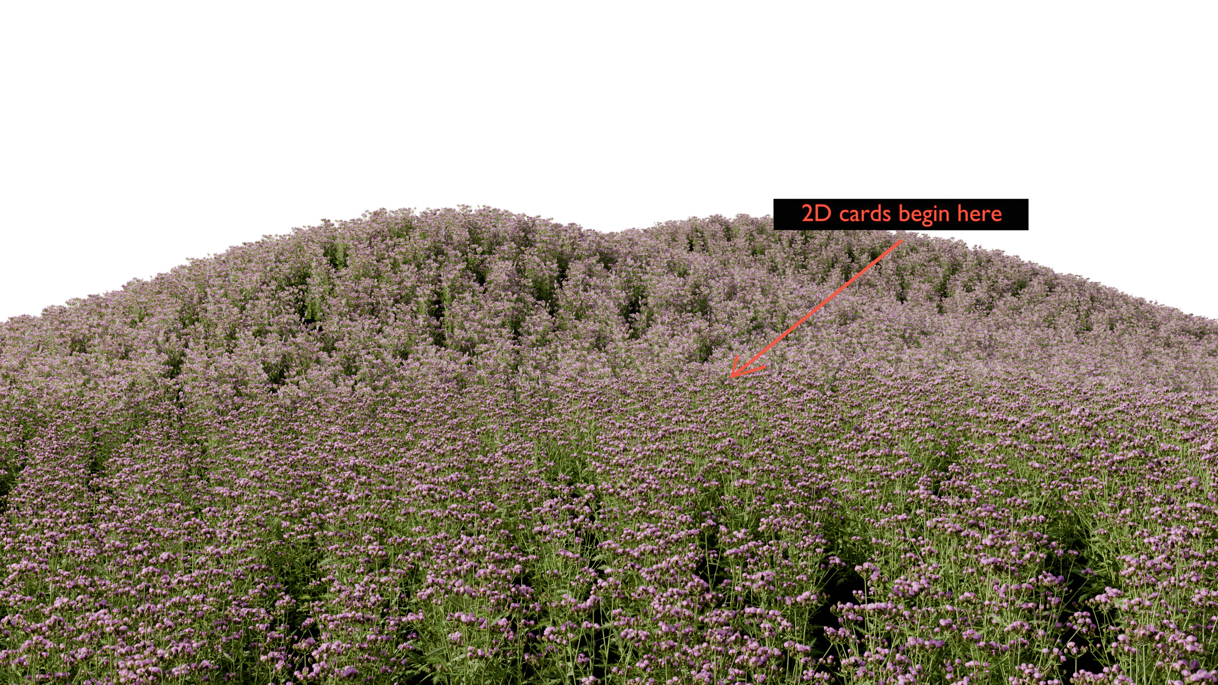 Dense basil across rolling hills, with 3D plants in the foreground and a red arrow marking where distant 2D cards begin.